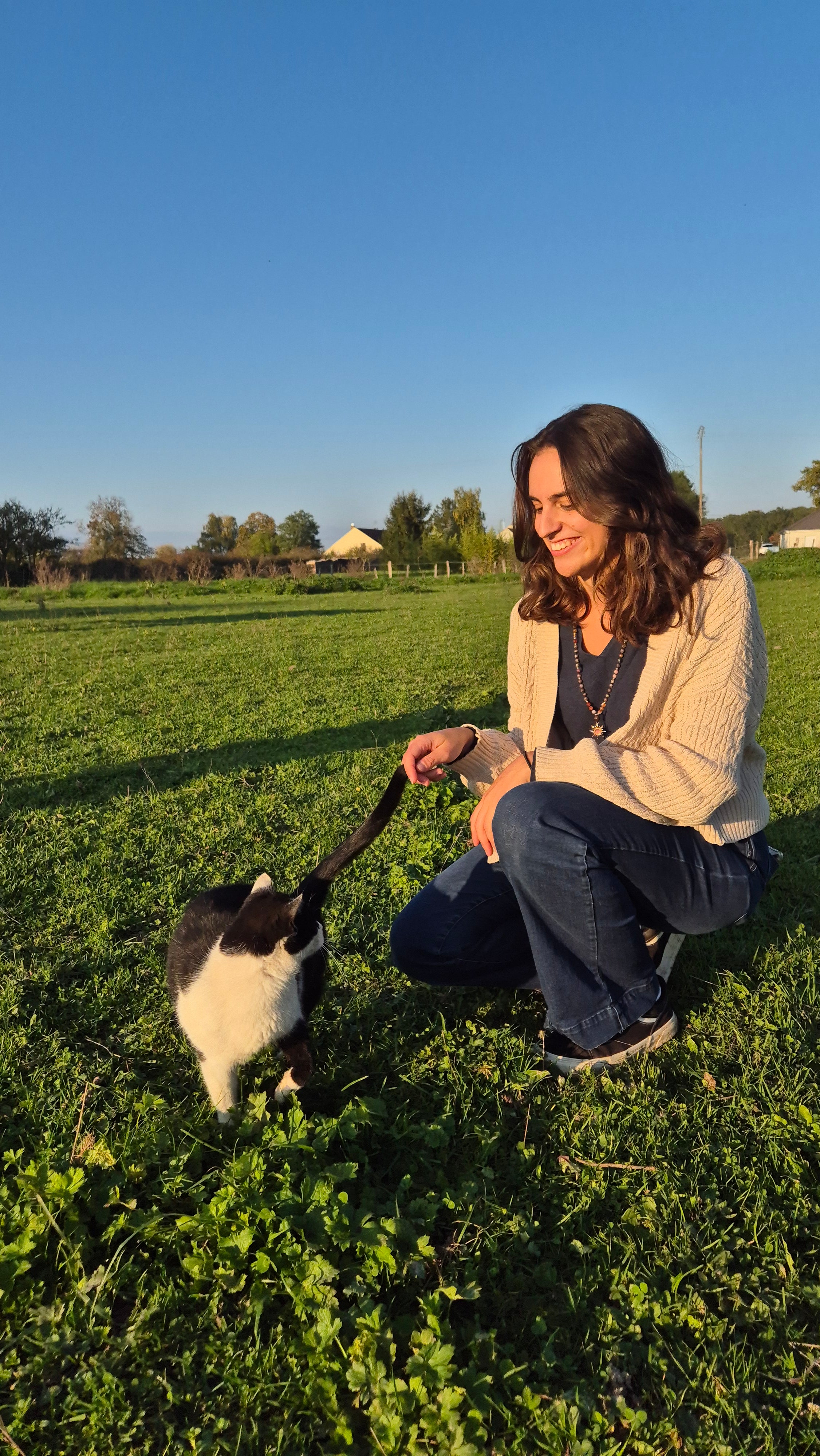 Accompagnement énergétique