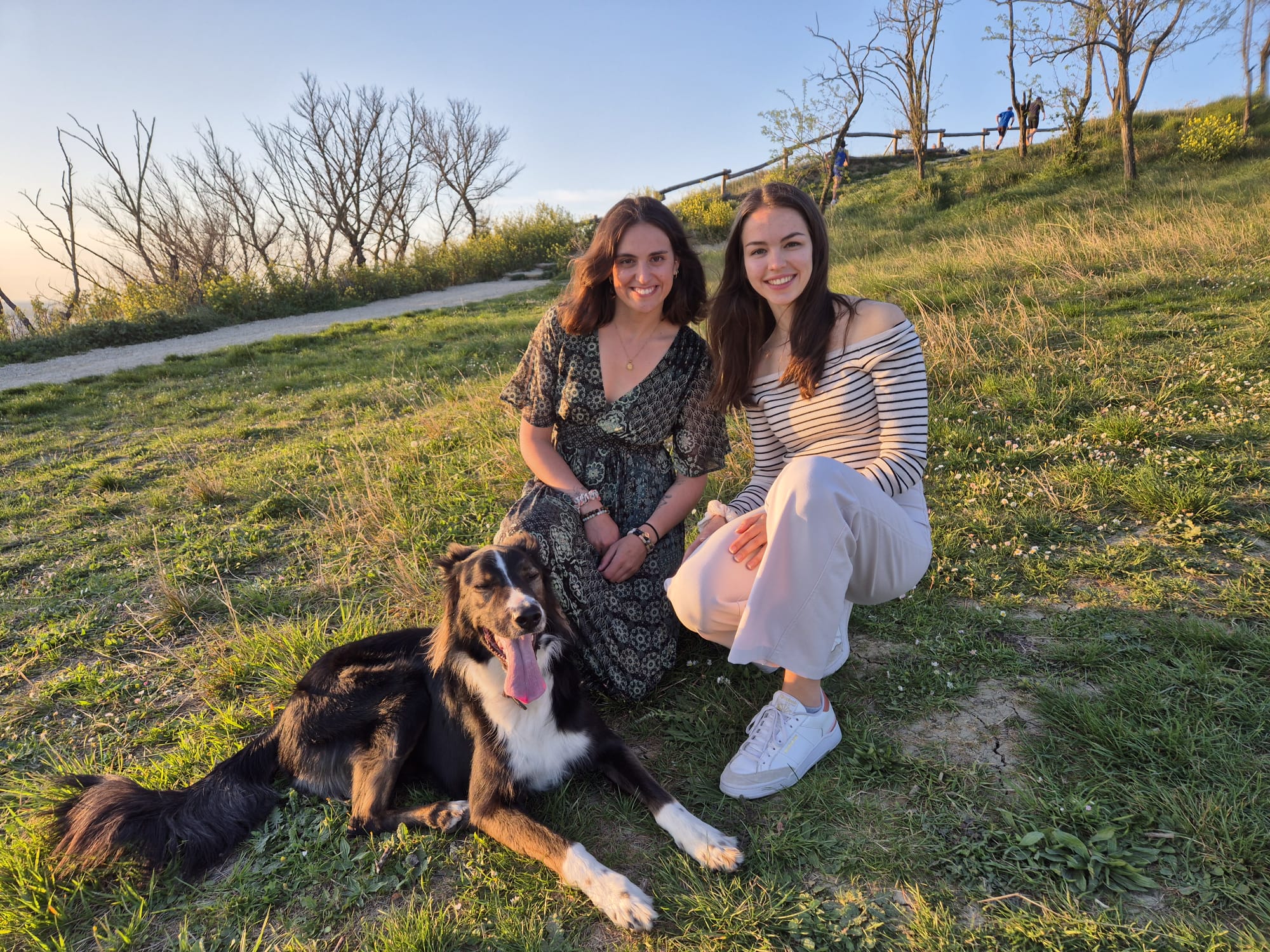 Communications Croisées