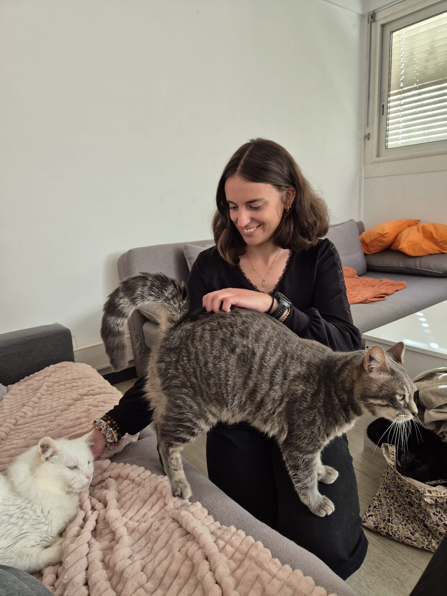 Communication Animale