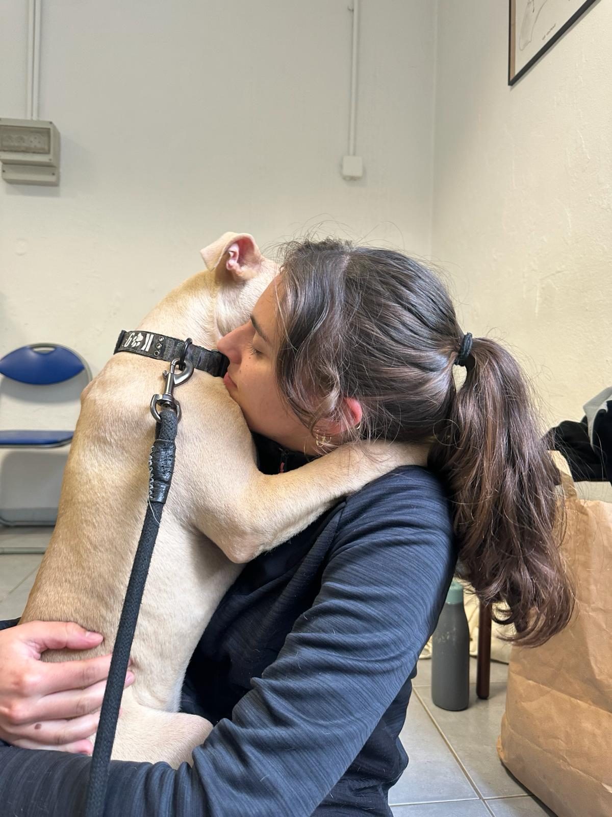 18bd0f5d-7194-4f7f-9330-f6742cf58aab